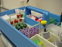 Phlebotomy job - tray with tubes